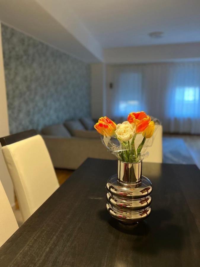 Ferienwohnung Iva Lux Stan Na Dan Banja Luka Exterior foto